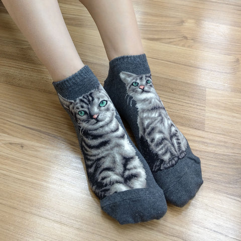 Cat Ankles - American Shorthair Gray