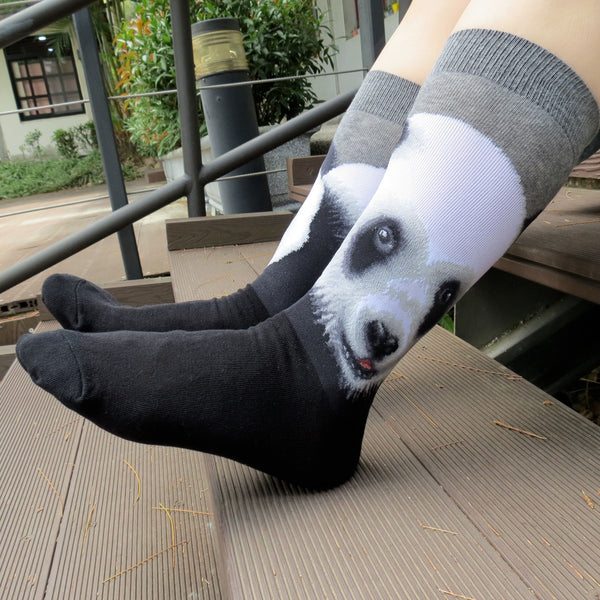 Wild Life - Panda