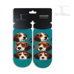 Dogs Ankles - Beagle Pup Face