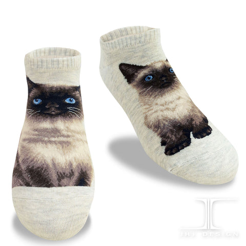 Cat Ankles - Himalayan Oatmeal