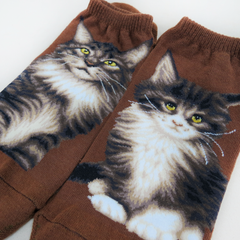Cat Ankles - Maine Coon Brown
