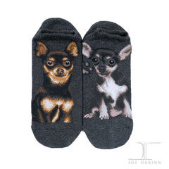 Dogs Ankles - Chihuahua Gray