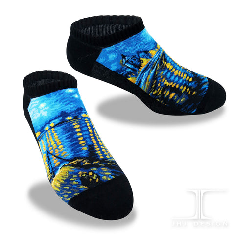 Masterpiece Ankles Starry Night Over the Rhone Van Gogh