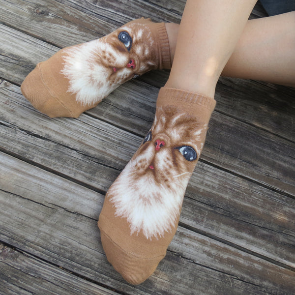 Cat Ankles - Persian Cat Face