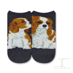 Dogs Ankles - Cavalier King Charles