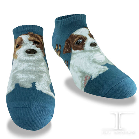 Dog Ankles - Jack Russell Terrier