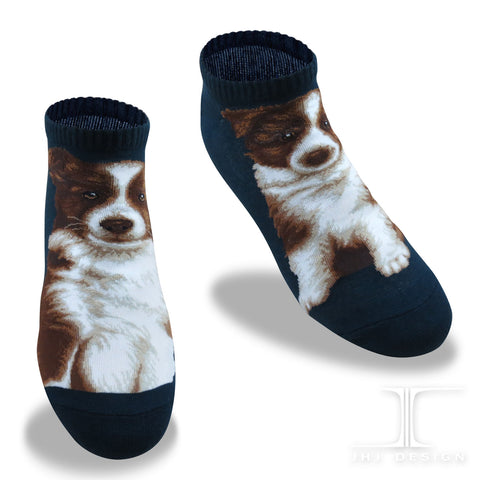 Dogs Ankles - Border Collie Navy