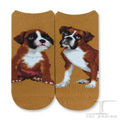 Dogs Ankles - Boxer Men Size
