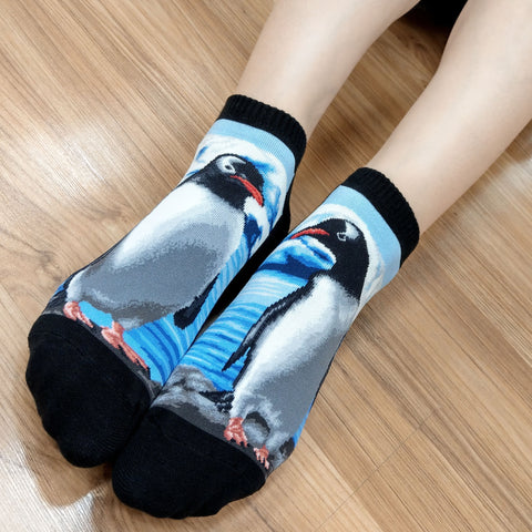 Wild Life Ankles Penguin Socks