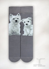 Dogs - West Highland White Terrier Men Size