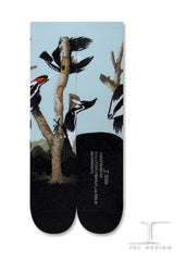 Masterpiece - Ivory-billed Woodpeckers